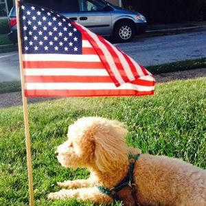 Meet your Posher, Cheryl